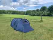 Tent pitched on the campsite. (added by visitor 28 May 2019)