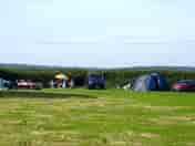 Plenty of space in the level camping field (added by manager 01 Aug 2017)