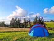 Tent pitched in the field. (added by manager 24 Nov 2023)