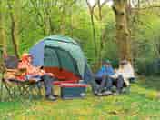 Camping among the trees (added by manager 22 Jul 2022)