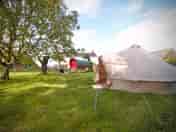 XL bell tent (added by manager 26 May 2023)