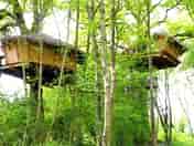 Characterful treehouses (added by manager 26 Jul 2017)