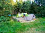 Double tent pitch in the woods (added by manager 27 Jul 2022)