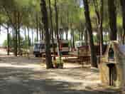 Tent and touring area in the pinewood (added by manager 15 Mar 2015)