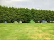 Grass pitches (added by manager 05 Aug 2022)