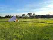 Back-to-basics bell tent meadow (added by manager 17 Feb 2024)