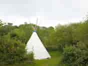 Tipi on the private site, plenty of privacy (added by manager 22 Apr 2015)