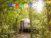 Outside the Bentwood yurt (added by manager 26 May 2018)
