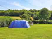 Grass tent pitch (added by manager 27 Sep 2022)