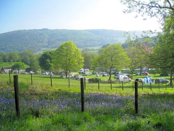 Looking across Burrowhayes Farm Caravan & Camping Site towards North Hill and Selworthy (added by manager 07 Feb 2014)