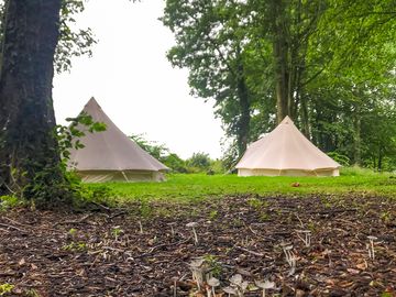 Bell tent (added by manager 08 Sep 2022)