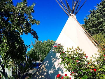 Tipi with plants all around (added by manager 23 Mar 2017)