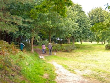 woodland walks (added by manager 17 Apr 2013)