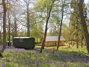 Relax with friends in your own private six acre woodland with 7 shepherd huts & straw bale building (added by manager 31 Mar 2015)