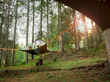 Tree tent in the forest