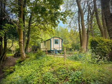 Yeoman is situated above a sunken wildflower meadow, surrounded by ancient woodland.