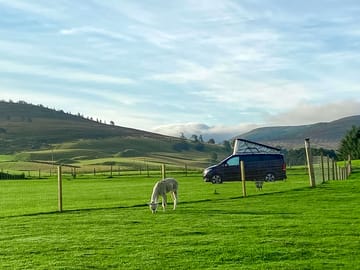 Grass pitches with views