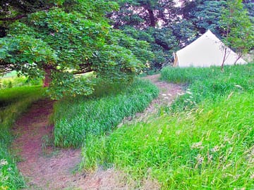 The bell tent nestled among the trees (added by manager 23 Jul 2013)