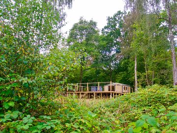 Woodland-based yurt and decking (added by manager 31 Aug 2023)