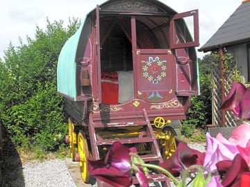 Enjoy our Romany caravan in its own flower garden with shower block alongside (added by manager 16 Aug 2013)