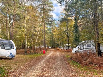 Electric pitches in the woods (added by manager 24 Nov 2022)
