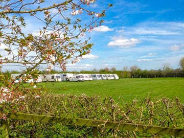 Pitches on site (added by manager 01 Sep 2022)