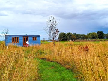 The Shepherd's huts nestled in the meadow