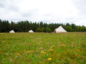 Bell tents in the fields