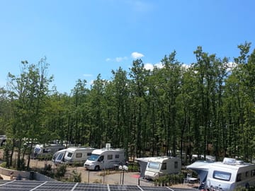 Trees behind the pitches