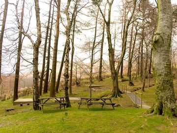 Picnic tables (added by manager 01 May 2019)