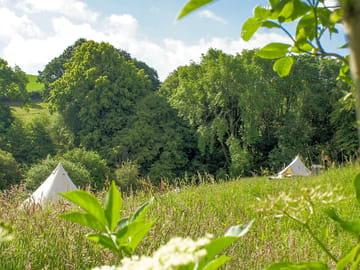 Bell tents on site (added by manager 26 Sep 2022)