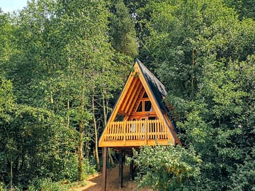 High up in the trees your woodland holiday home