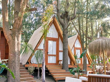 Safari tent surrounded by trees