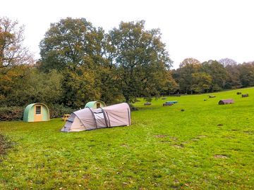 Visitor image of the view across site towards the pods and their tent (added by manager 27 Sep 2022)