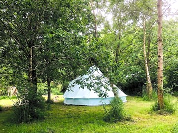 Bell tent hidden among the trees (added by manager 06 Jun 2022)