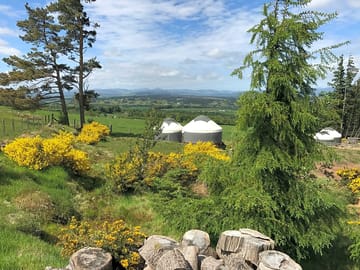 View towards the yurts (added by manager 12 Jun 2017)