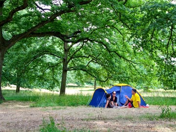 Camping under the trees (added by manager 15 Aug 2022)