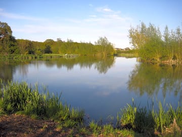 Meadow lake (added by manager 31 Jan 2014)