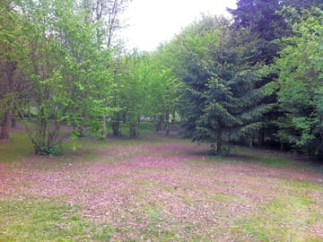 Campsite and local area (added by manager 22 may 2013)