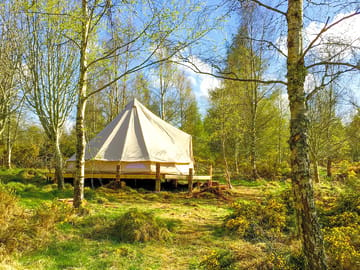Bell Tent (added by manager 13 Sep 2022)