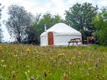 Bryn Helyg yurt exterior