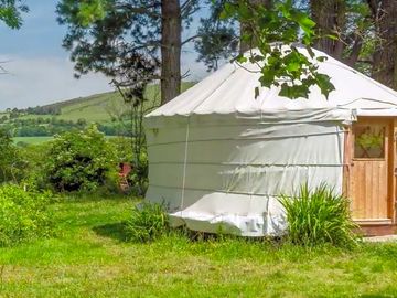The yurt sheltered by trees
