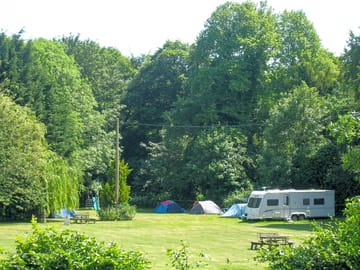 Trees surrounding the pitches