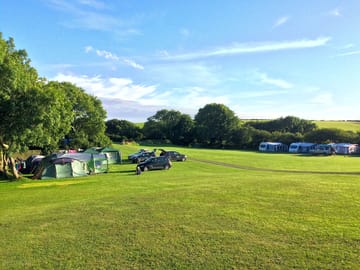 The Dingle and Lower green pitches