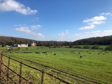 Rural views (added by manager 24 Mar 2021)