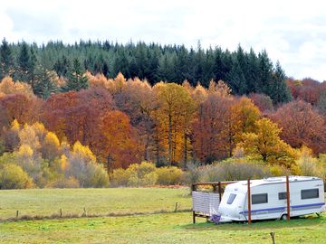 On-site touring caravan with an autumnal backdrop (added by manager 27 Feb 2019)