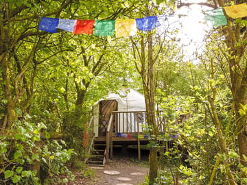 Yurt among the trees (added by manager 16 Sep 2018)