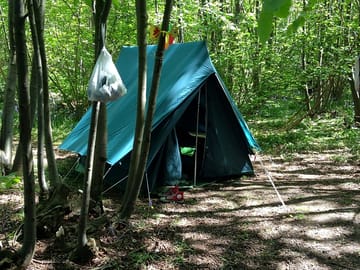 small tent on small woodland pitch (added by manager 22 Mar 2014)