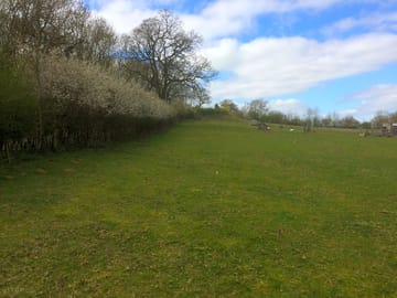 Camping field (added by manager 10 Apr 2019)
