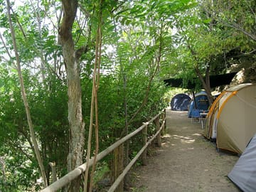 Part of the camping area